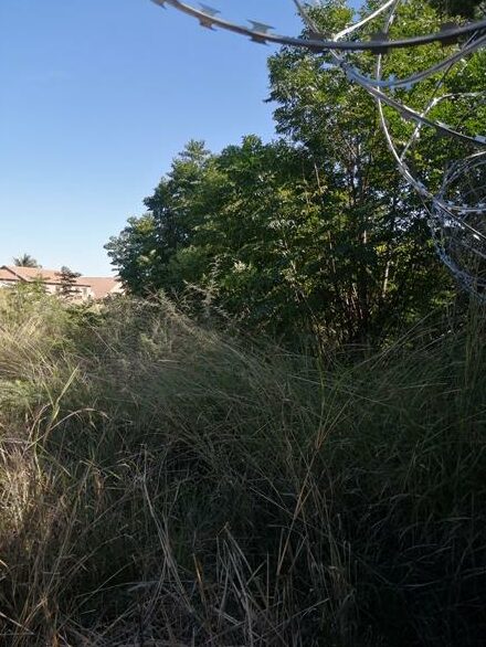 Overgrown field harbours criminals, residents say