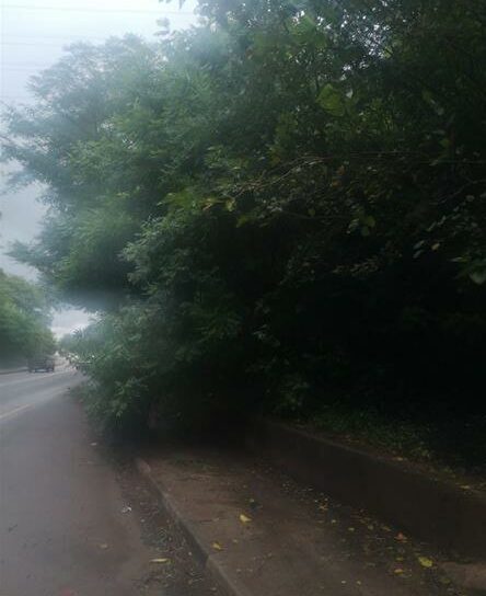 No end to negligence at Daspoort tunnel in Pretoria West