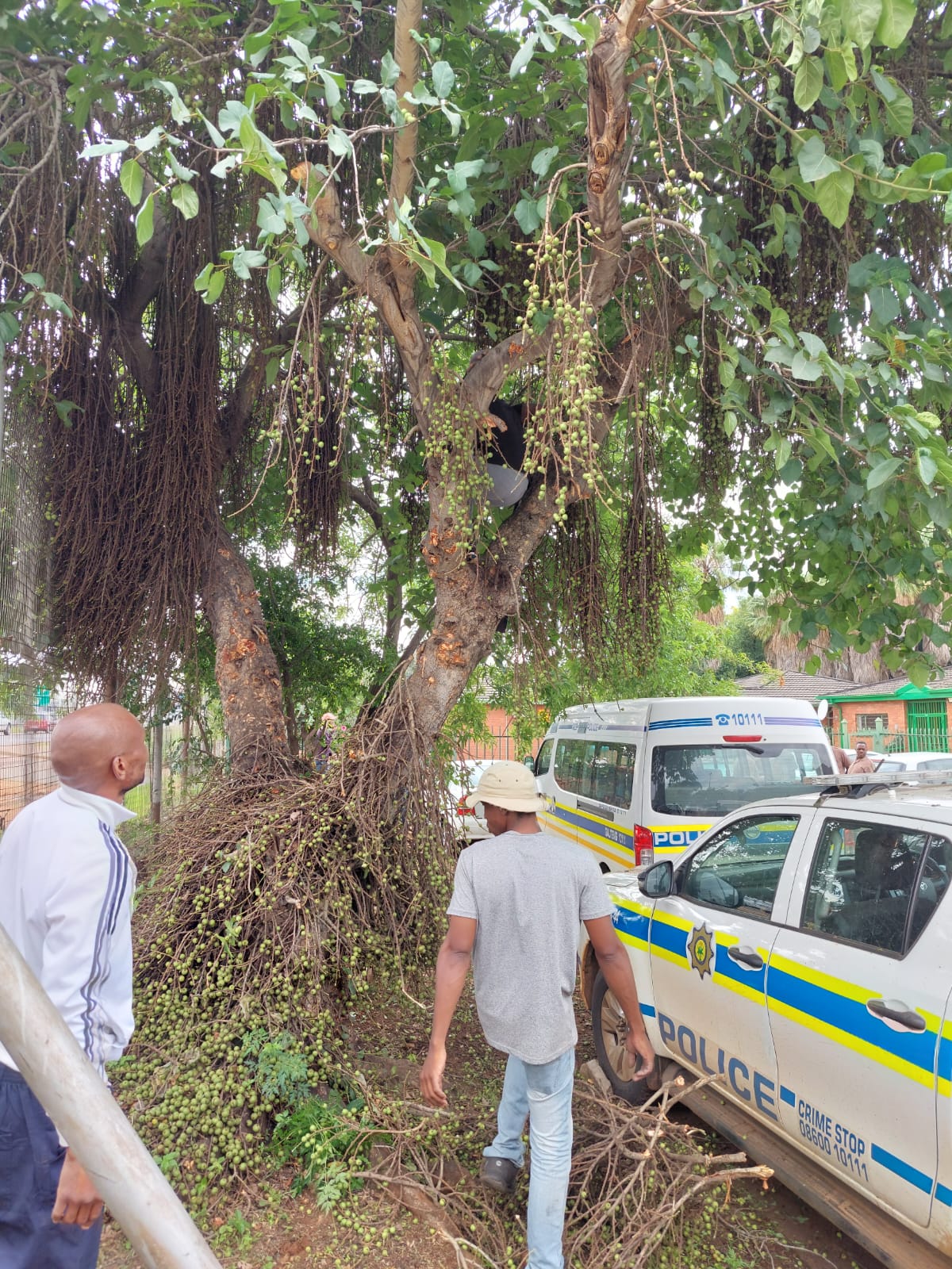 Tshwane North district police arrest 10 for selling liquor without a licence Rekord
