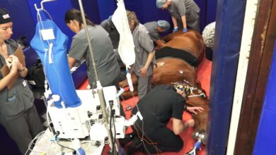 Tuks performs first procedure of its sort in Africa