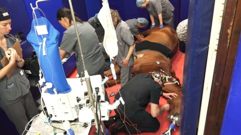 Tuks performs first procedure of its sort in Africa