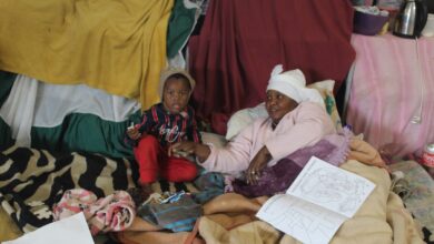 Living in a public library for 15 months