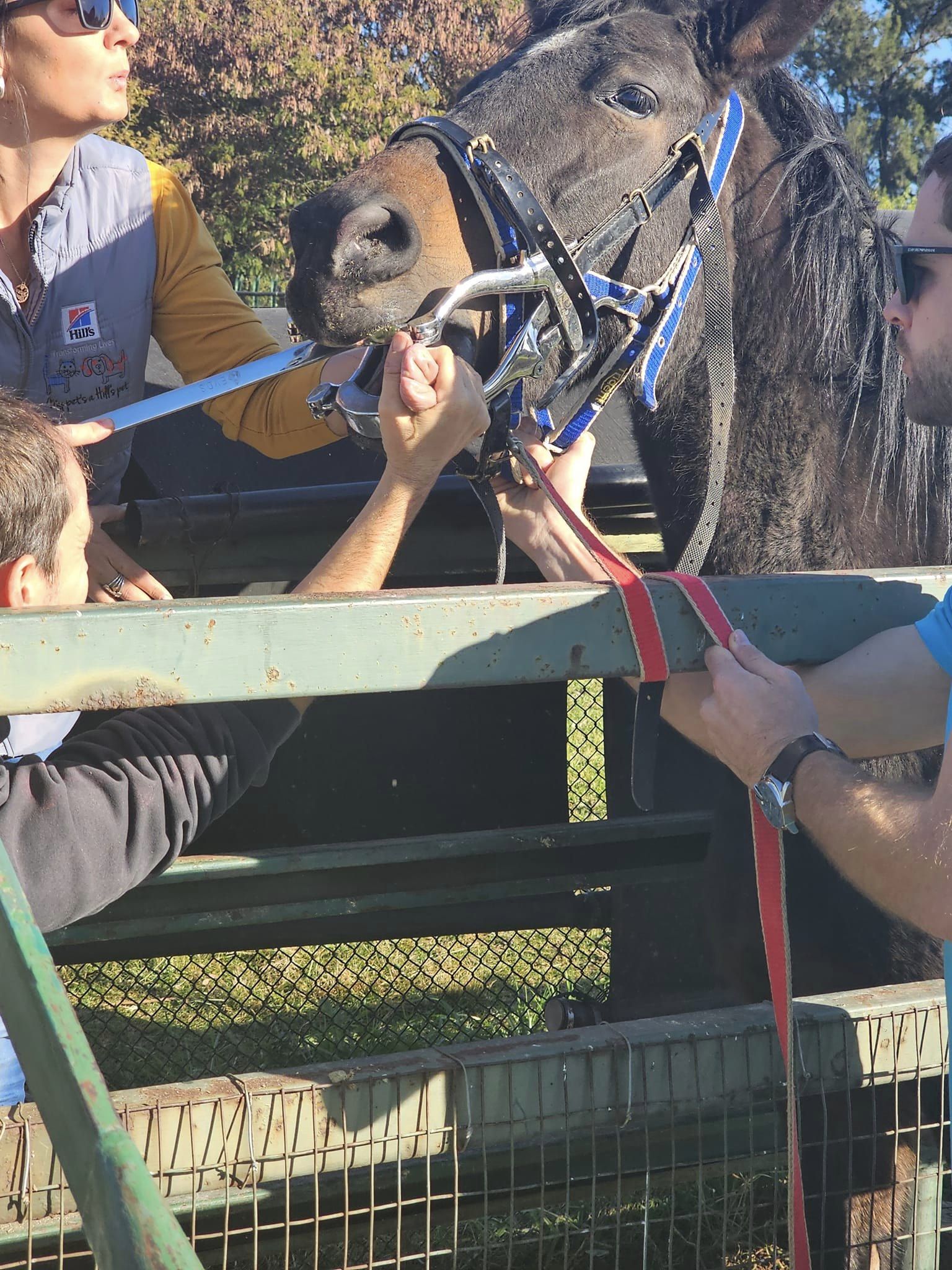Rooihuiskraal Historical Terrain animals get a check-up
