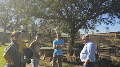 Rooihuiskraal Historical Terrain animals get a check-up