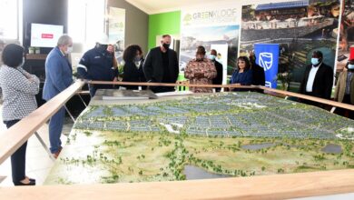Green mega city construction east of Pta is ongoing