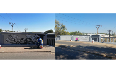 A Moot project member paining the bridge