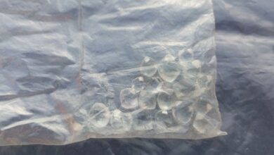 TMPD K9 unit arrests four in possession of 'illegal diamonds'