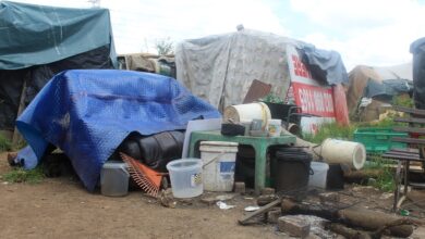 Lengthy legal process to remove Wolwespriuit informal settlement