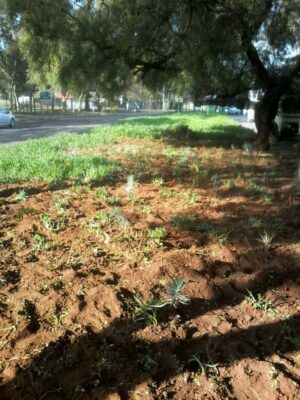 Hulle wil hê die Mooters moet met trots in hul area inry en ook sien hoe dit moet wees en lyk.