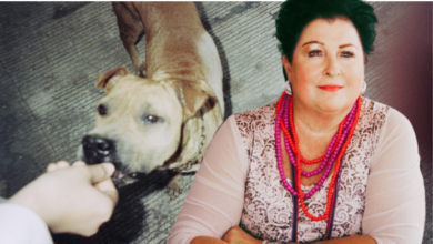 Dog poisoning rears head again in Moot