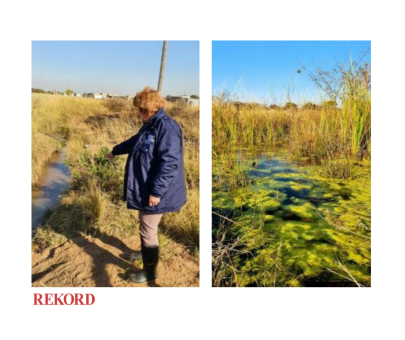 Metro seeks mosquito infestation solution in Winterveldt Metro seeks mosquito infestation solution in Winterveldt