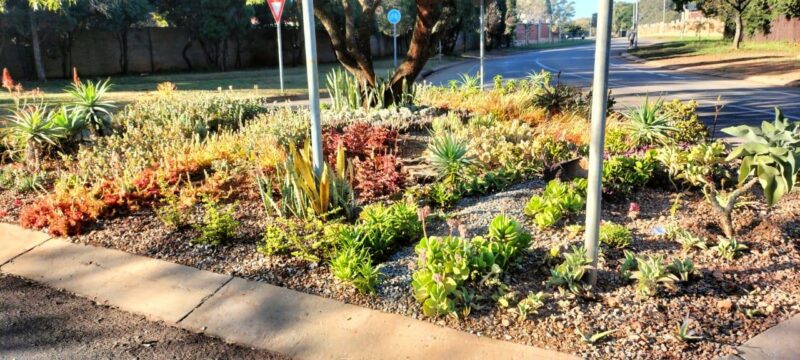 Eldoraigne residents give public spaces some TLC