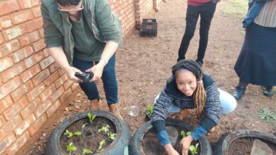 Local organisations start Pretoria community vegetable garden