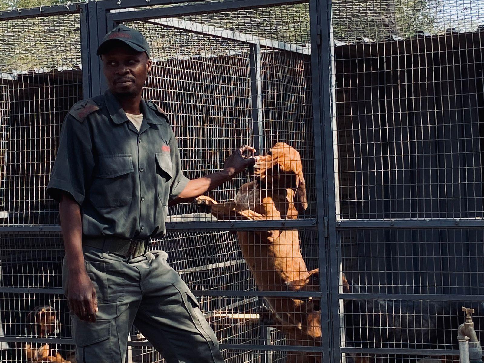 Pleasure Mathebula from SA wildlife college.