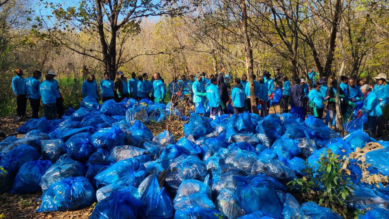 Volunteers tackle blue carbon emissions in the Hennops River