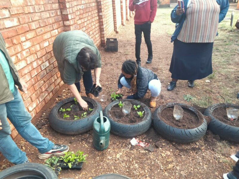 Local organisations start Pretoria community vegetable garden