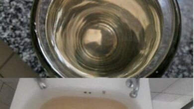 Water quality in Tshwane improves