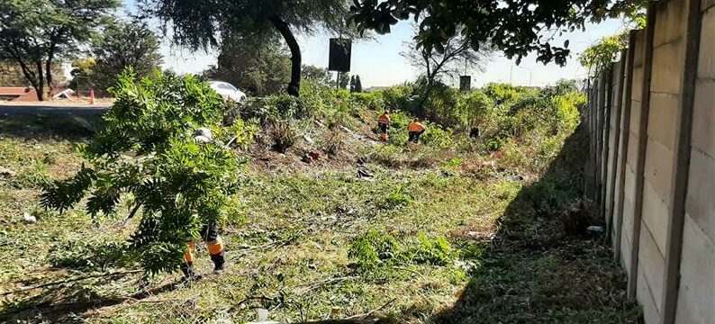 Organisations join hands to clean up problem area