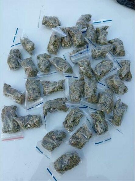 Man arrested for attempting to bribe police in north with R400