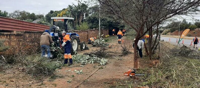 Kloofsig embankment cleared for a safer neighbourhood Kloofsig embankment cleared for a safer neighbourhood
