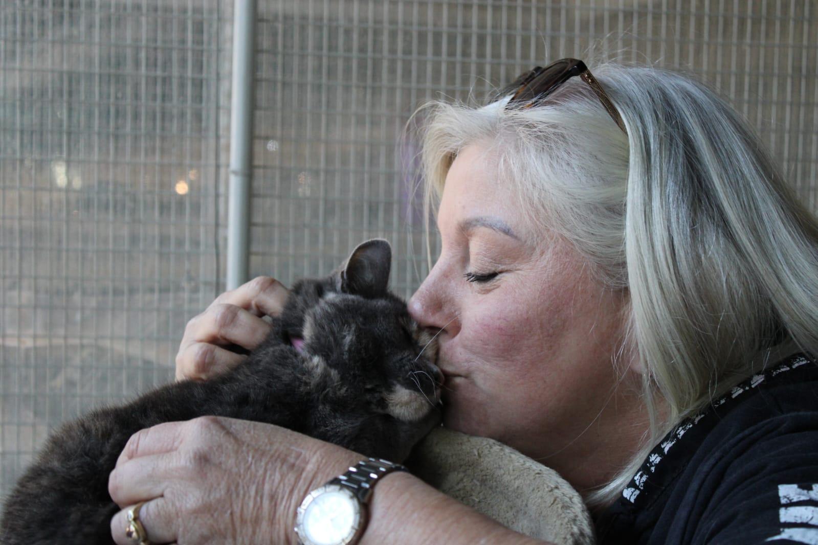 SPCA Tshwane runs on donations with over 400 animals per month