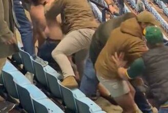 Loftus moots ban of sports hooligans after stadium fracas