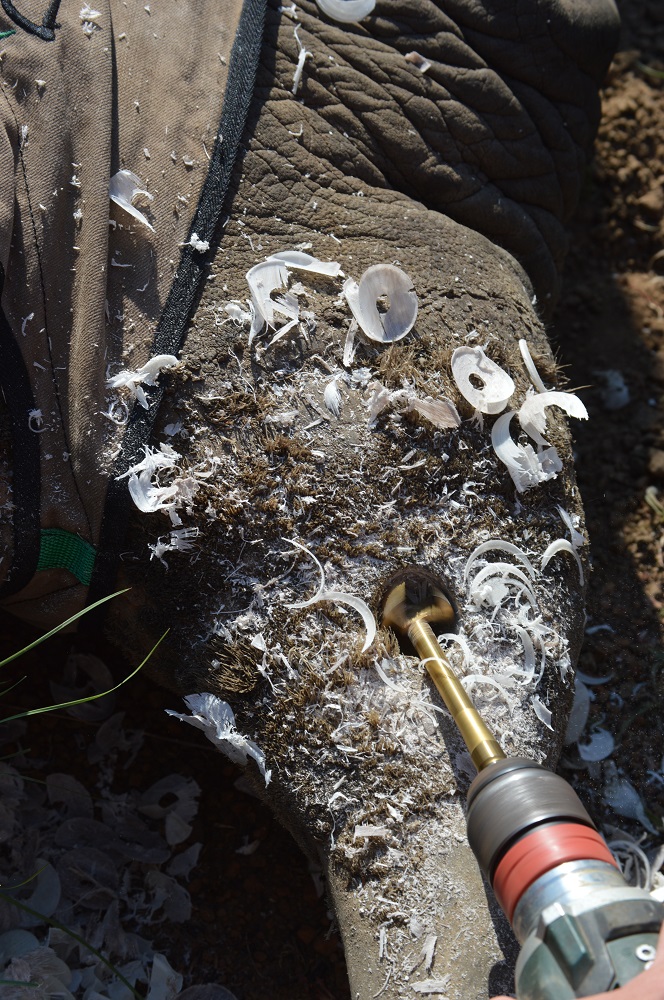 Wildnatuurreservate moet droombestemming vir toeriste word Rekord