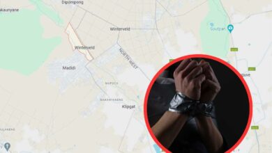 Two kidnapped cousins found near Winterveldt