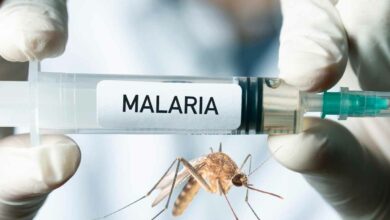 Tshwane Health Department alerts travelers to malaria dangers during Easter getaways