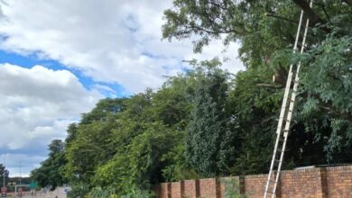 Worker critically injured after falling 8 meters