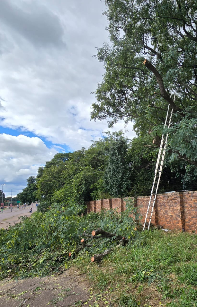 Worker critically injured after falling 8 meters | Rekord