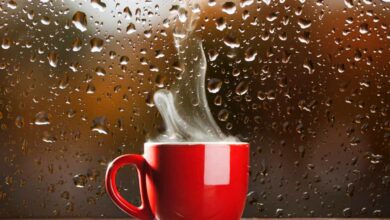 Cold and cloudy weekend expected in Pretoria