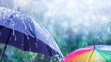 The SA Weather Services said rain is expected in Pretoria on Monday. Here is the latest on what is expected.