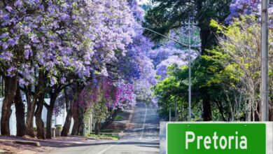 How many millionaires live in Pretoria?