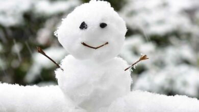 Pretoria to feel the chill as snow falls elsewhere and rain drenches Gauteng