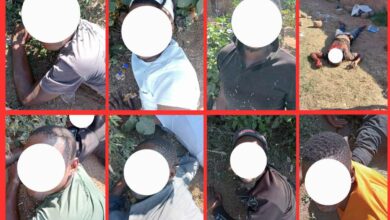 Suspected highway spiker killed, 11 others arrested