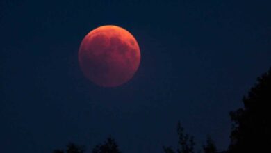 It is almost time for the Strawberry Moon