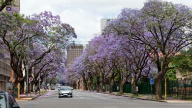 Here are the increased rates and services in Tshwane