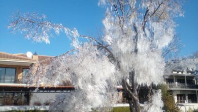 Icy cold winter wonderland in Pretoria Photo: Silver Lake Gold Estate