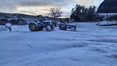 Look: Snow turns parts of SA into winter wonderland