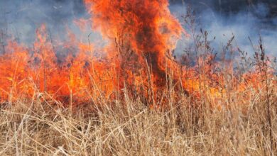Two blazing veld fires in Pretoria West