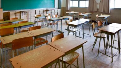 Gauteng 2025 Online Admissions open - here is what you should know