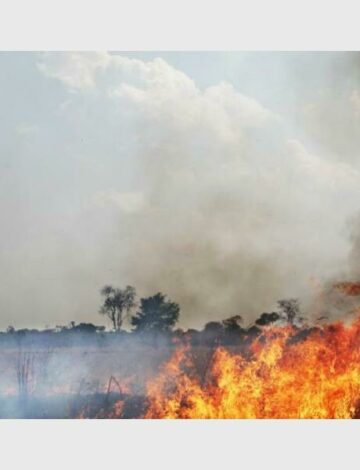 The City of Tshwane's 107 emergency line remains down. Residents should use alternative numbers for fire and rescue emergencies.