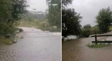 Rietvlei Nature Reserve temporarily closed due to disruptive rains