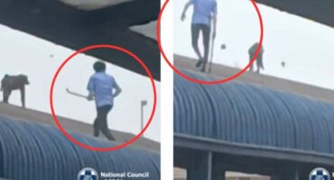 Investigation into Raygun's brutal killing continues
