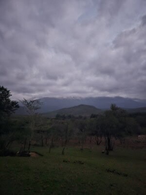 First snowfall of the year - here are the photos