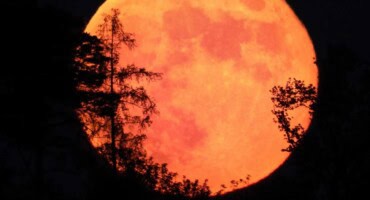 June's Strawberry Moon rises tonight