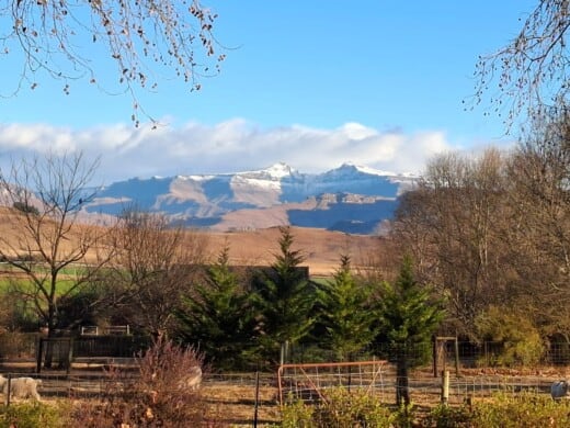 Look: Snow confirmed in these parts of SA