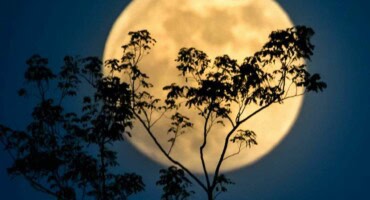 Full moon July 2025: When is the best time to see it?