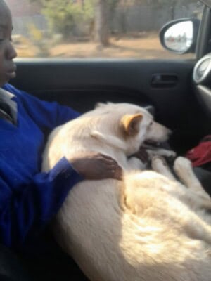 Autistic Centurion teen devastated after losing his best friend, Sky the dog